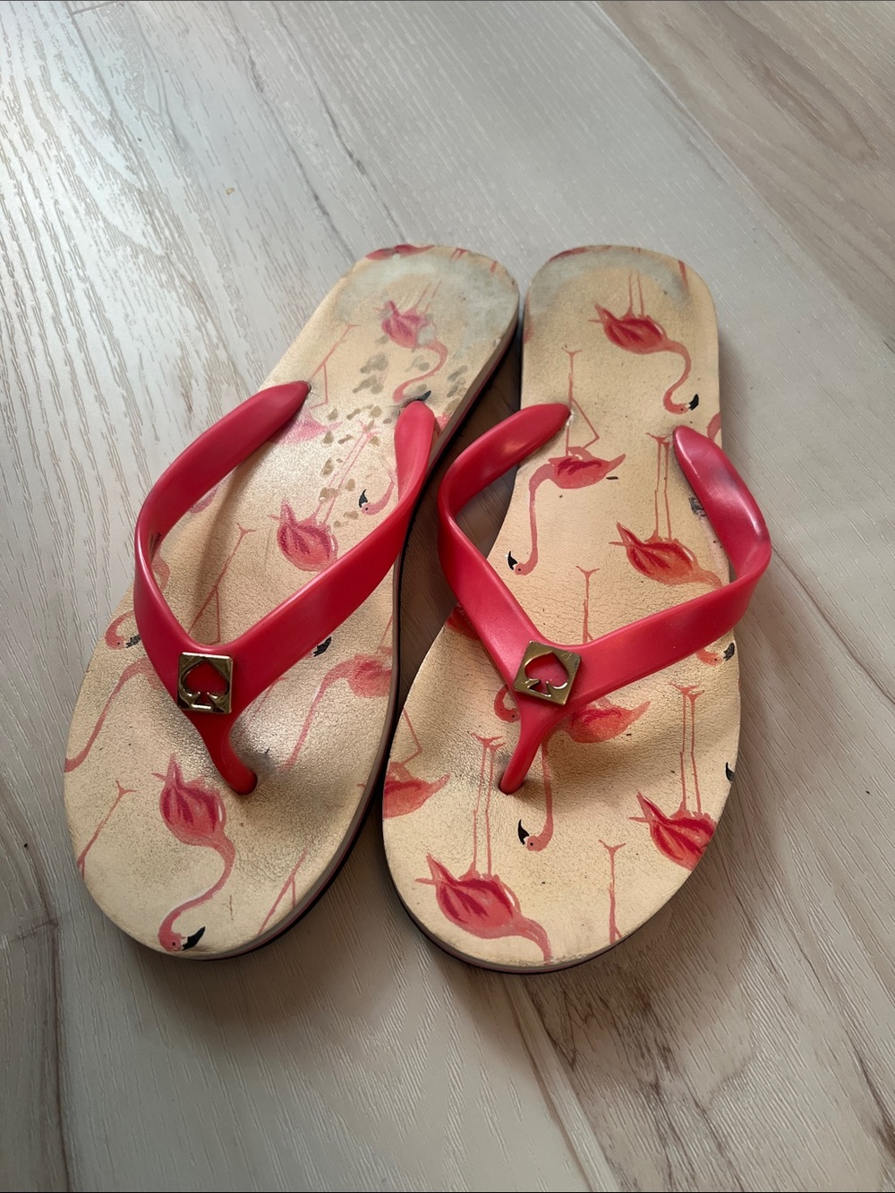 Women’s Red Pink Flamingo Print Flip Flops